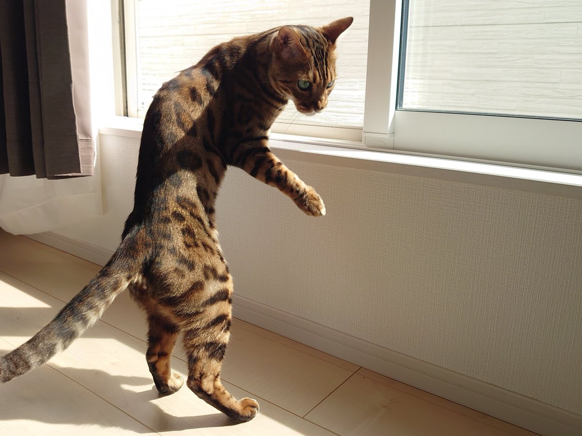 【公式】フロム蔵王/山田乳業㈱ tweet media