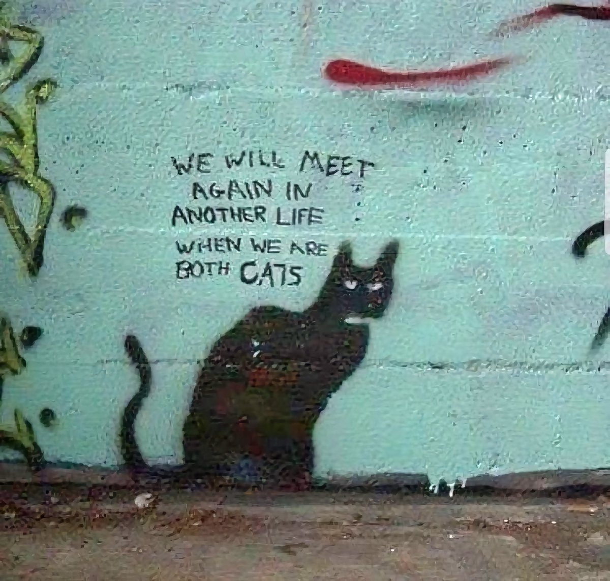 Douglas Stirling tweet media