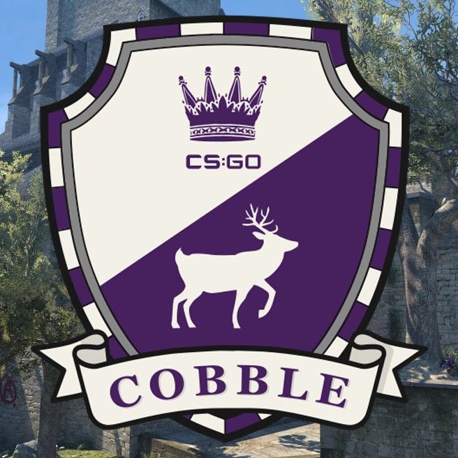 Is Cobblestone Out? tweet media