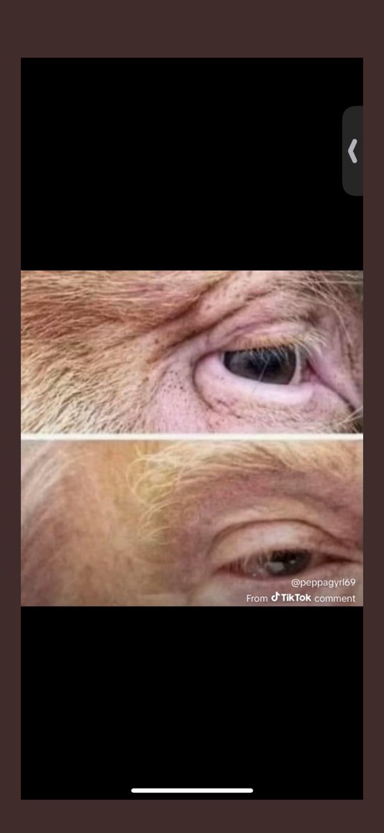 Mac ceo ✈ tweet media