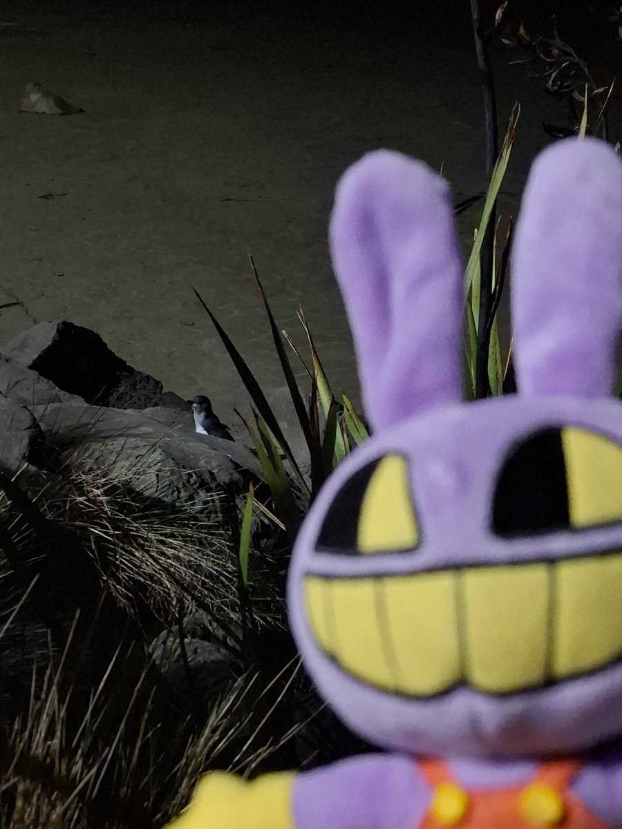 🐟 xai/mars !! | the laurgeneist tweet media