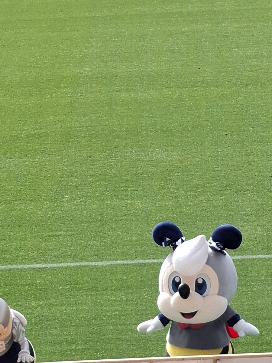 勝ちましたー！
この世の終わりかと思うような名古屋戦からよくここまでもってきたな
新加入選手もフィットしてるし
とにかく見ていて楽しいサッカーだ
塚原さん名将になっちゃうかも？！😊