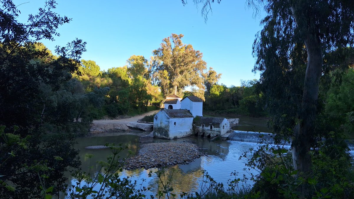 turismoguadaira's tweet photo. 🎋Hay lugares donde el tiempo parece detenerse para escuchar el susurro de la corriente. El Monumento Natural Ribera del Guadaíra no es sólo un paisaje, es el corazón verde de Alcalá, un refugio donde la naturaleza y el ingenio humano han convivido desde hace siglos. 💦📜 https://t.co/4ms7pA701e