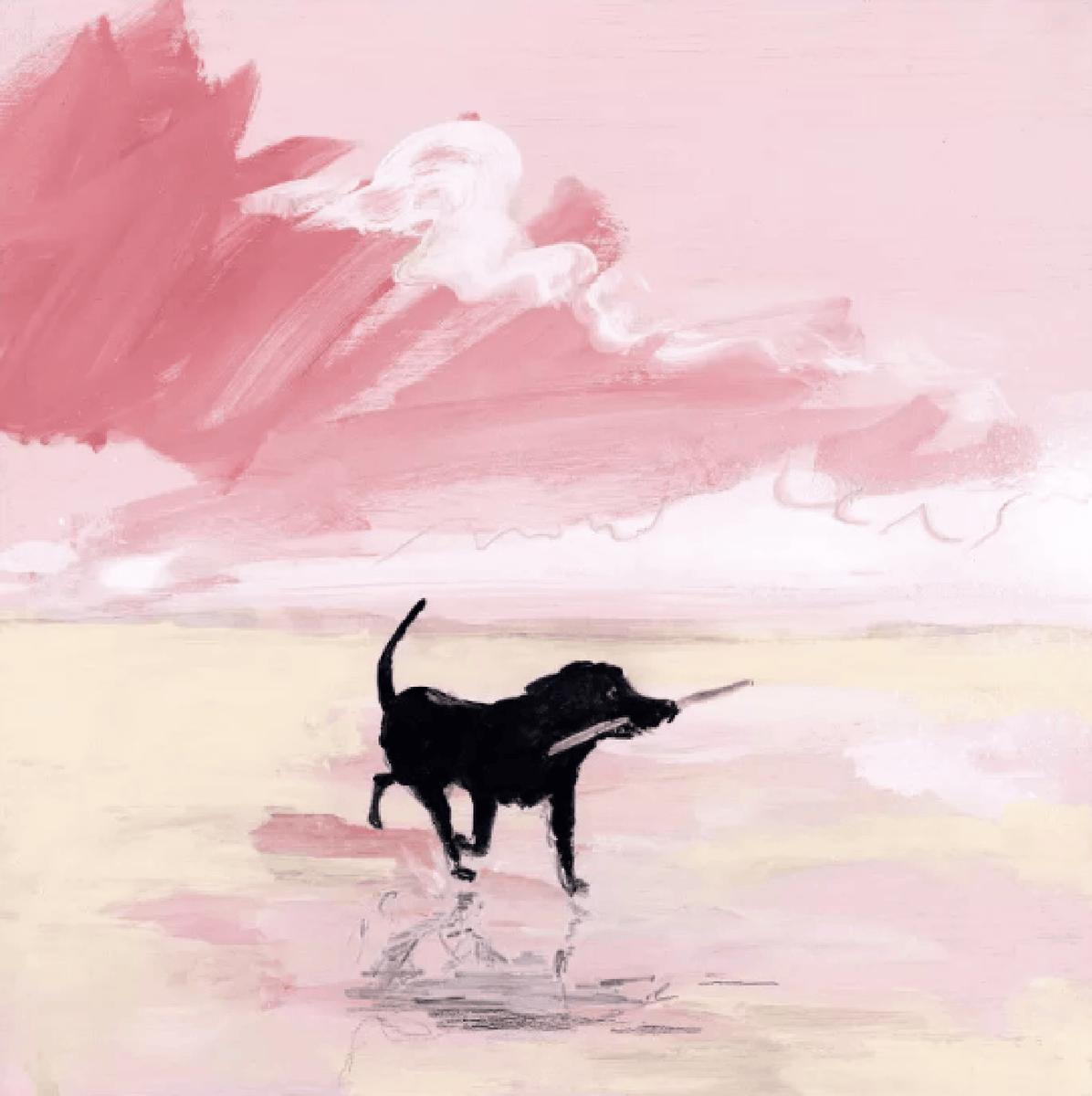 buddygiles tweet media