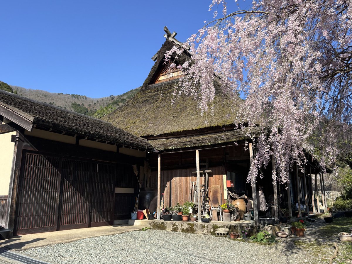 てんぷ🦊🍥 tweet media