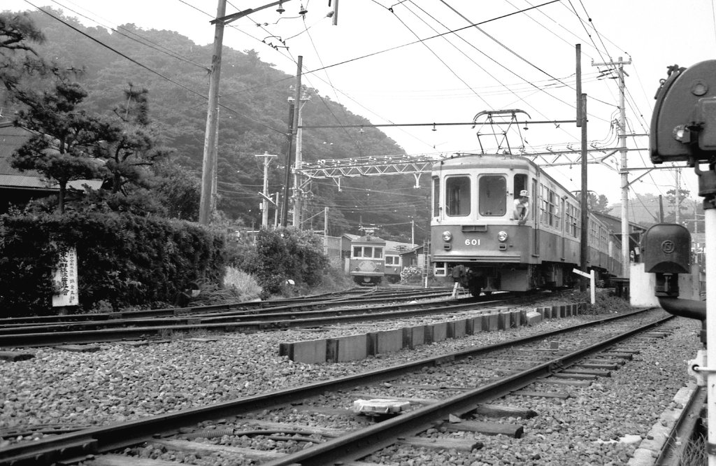 ねじレンズ🔍 tweet media