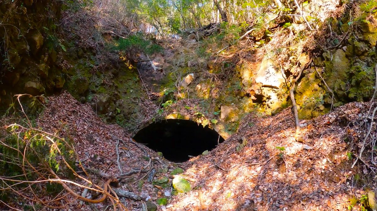 アマノ氏のチャンネル tweet media