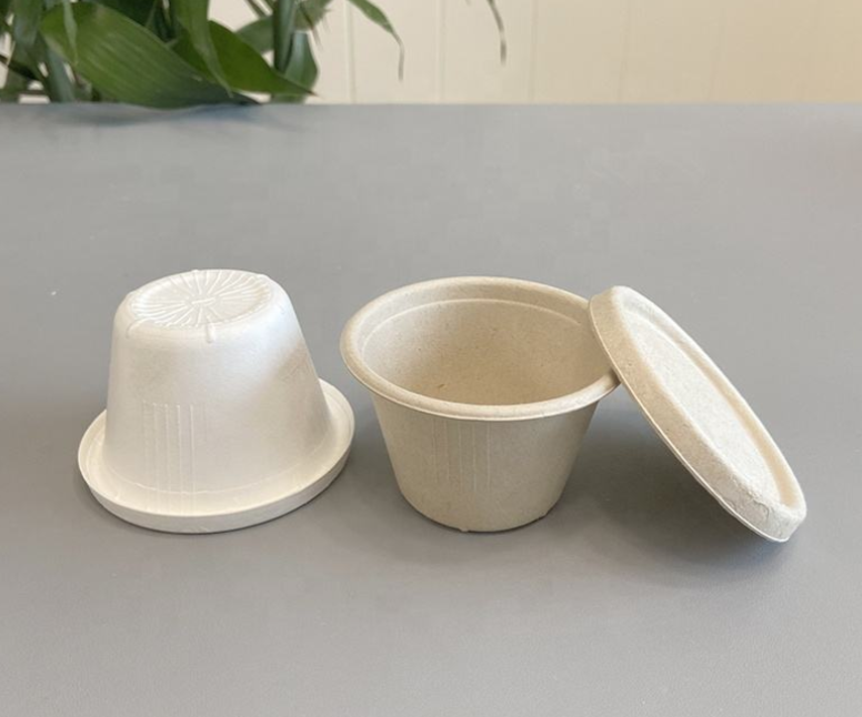 PulpmoldingPack's tweet photo. 🌍 Businesses are shifting to sustainable packaging. HANSON provides the machines &amp; support to help you keep up.

📧 liutong@hspulpmolding.com
🔗 https://t.co/3IKOXNwkLO

#hansonpulpmolding #sustainablepackaging #pulpmolding #ecofriendly https://t.co/XXb4HvhMnt
