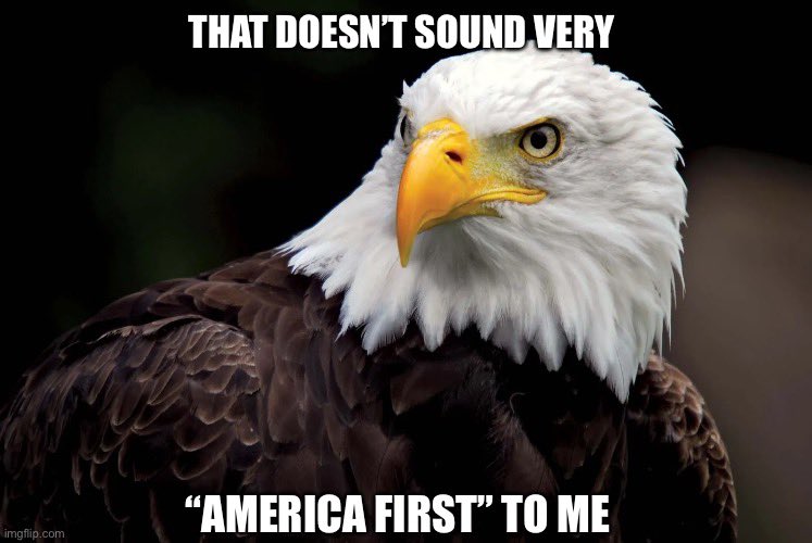 Kyle Hause tweet media