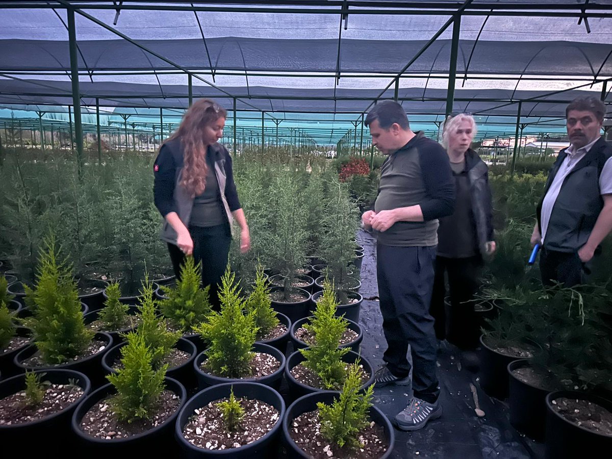 Mersin Post tweet media