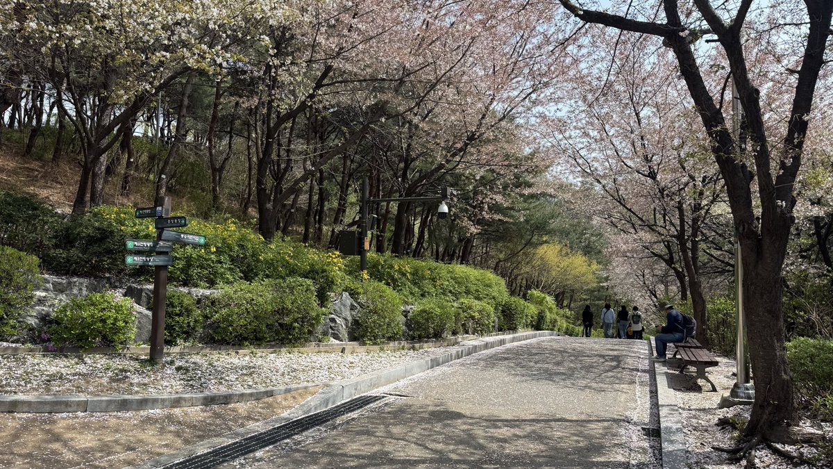 🕯hottieho the fox tweet media