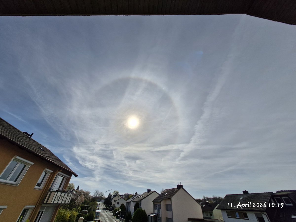 Thus Nelda tweet media