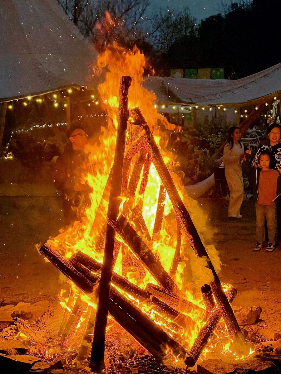 BENI 🐕 Base tweet media