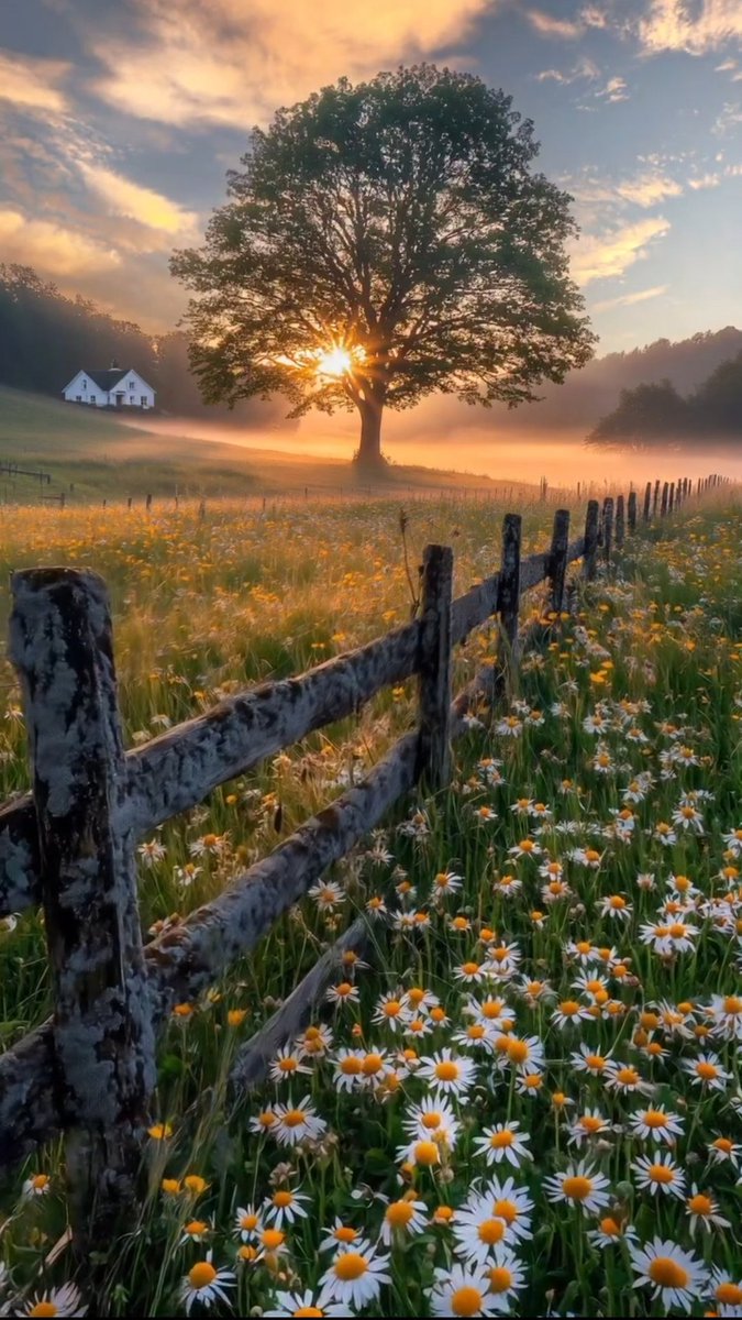 Unica14177579's tweet image. The sweetest moments in life🌼
   aren’t in the greetings we receive, but in the comforting🌻   
  thought that someone 
wishes us the best every day.

Beautiful Saturday to you.💛

#SaturdayVibes #SaturdayThoughts #GoodMorningХ #HappySaturday