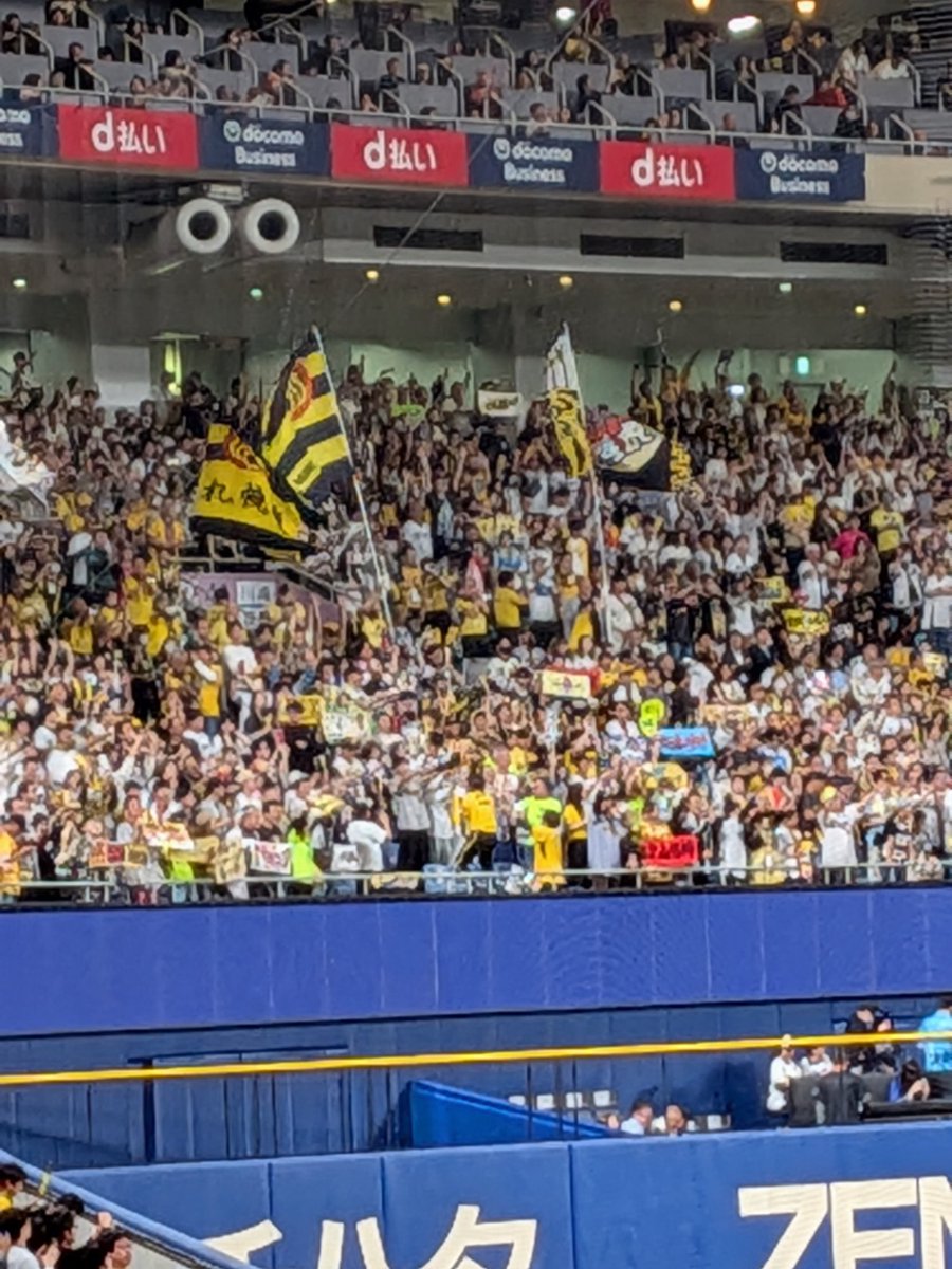 🐯椎茸の谷 tweet media