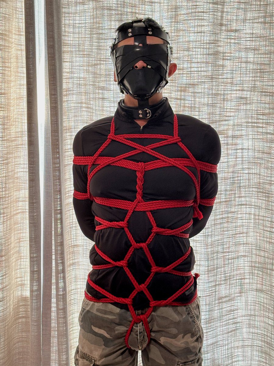 彳亍 彳缶卩 风 tweet media