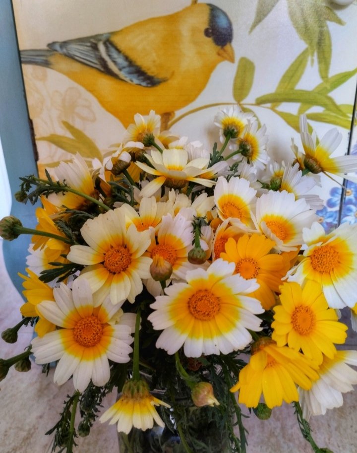 EmilyenParis3's tweet image. Los colores de la primavera💛💛
#primavera
#color