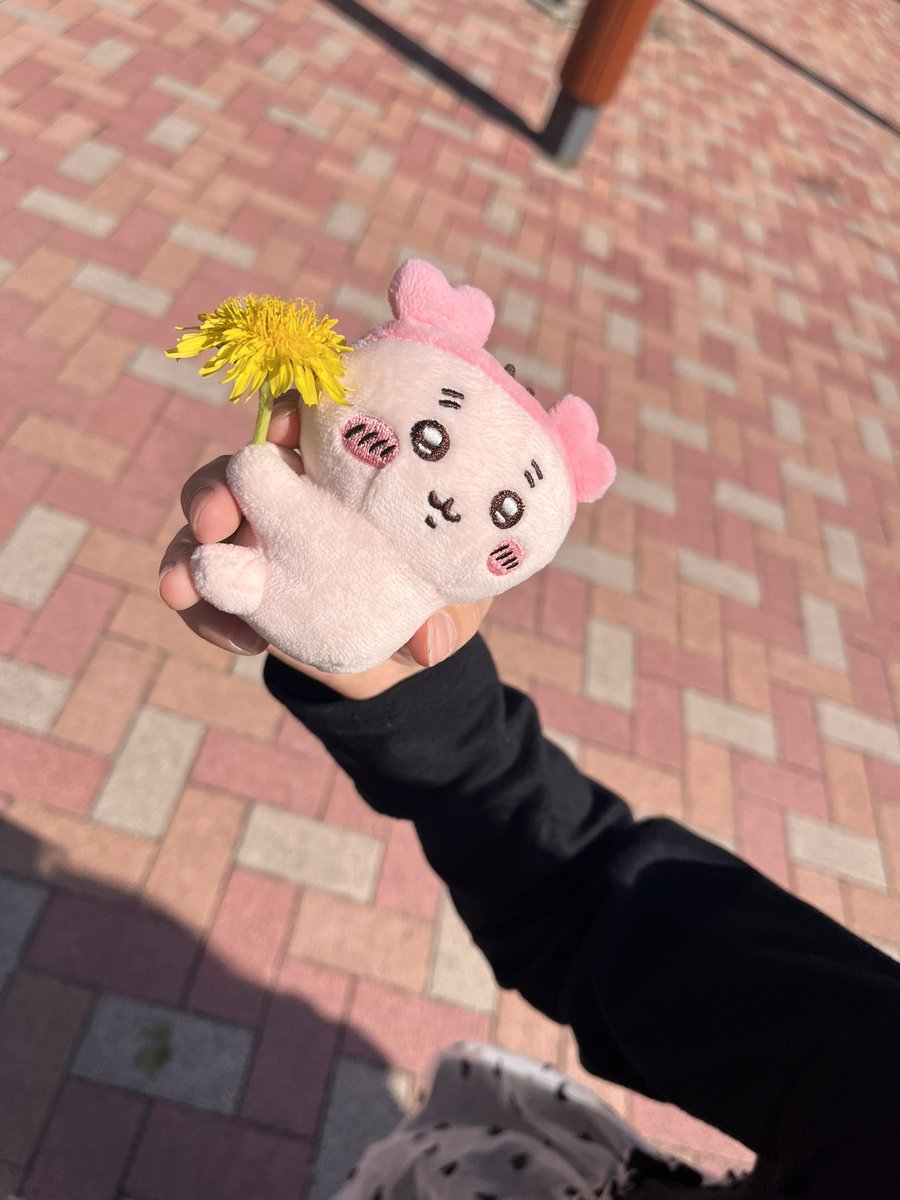 Yuuki️🩵🐈 tweet media