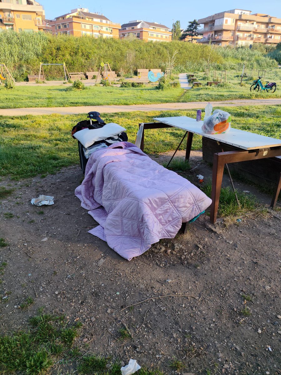 Marco Palma tweet media