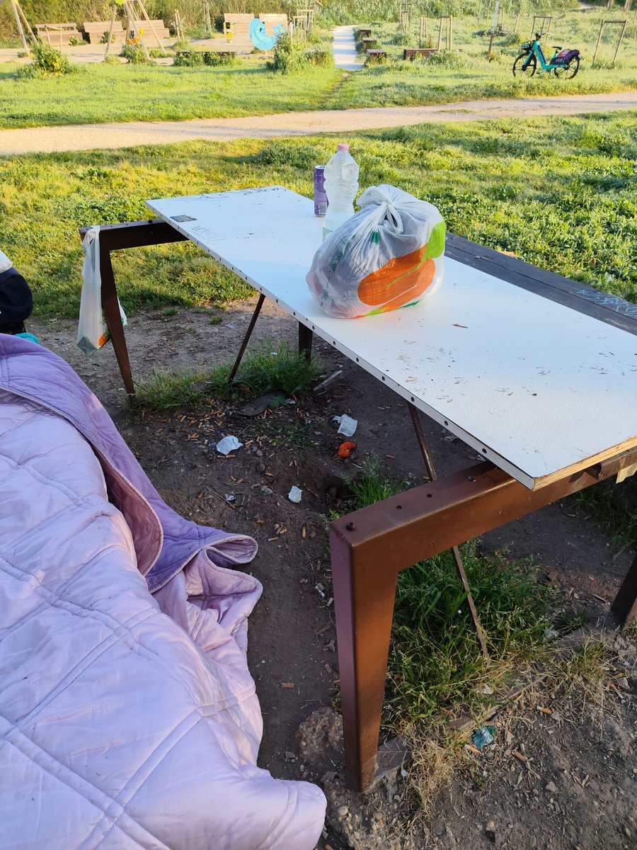 Marco Palma tweet media