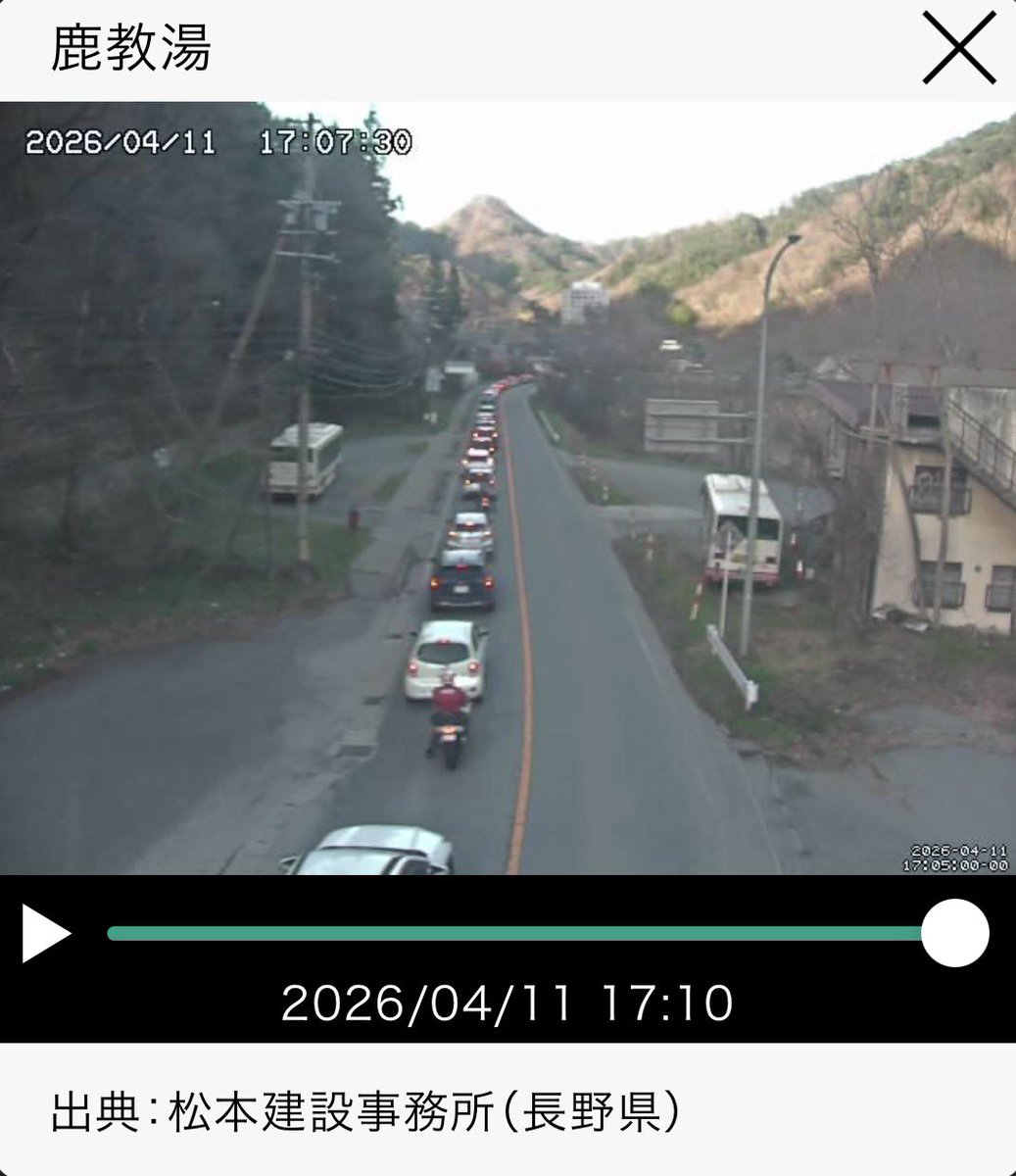 マツサイ tweet media