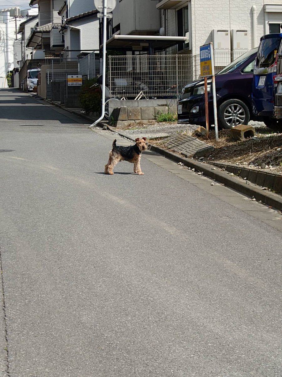 ヒデぽん tweet media