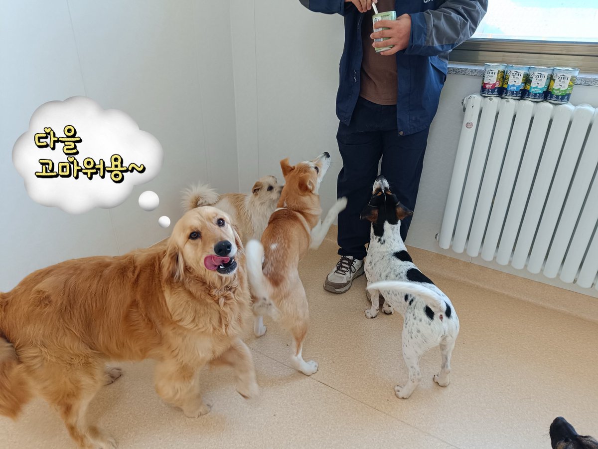 HarpSealMoon tweet media