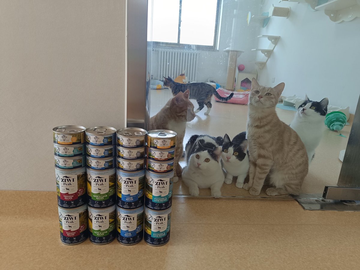 HarpSealMoon tweet media