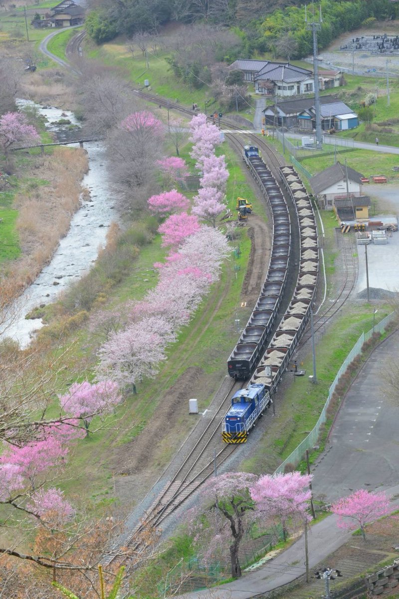 大船渡市役所 tweet media