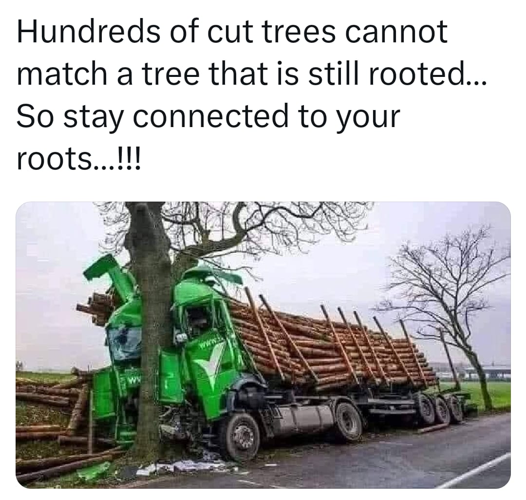 Rajgopalnb 🇮🇳 tweet media