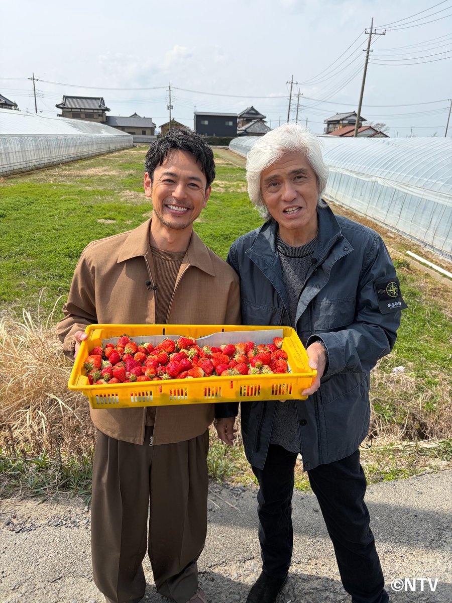 笑ってコラえて！【公式】🗻🦅🍆✨ tweet media