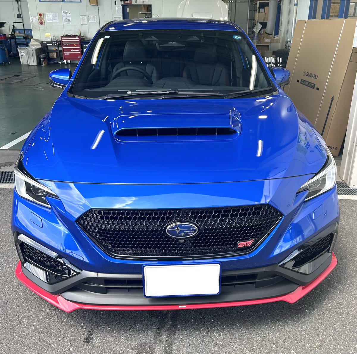 てっつん🐶🌸 tweet media