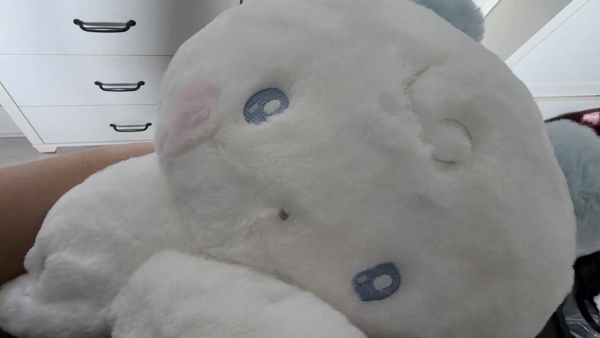 이레다🎗 tweet media