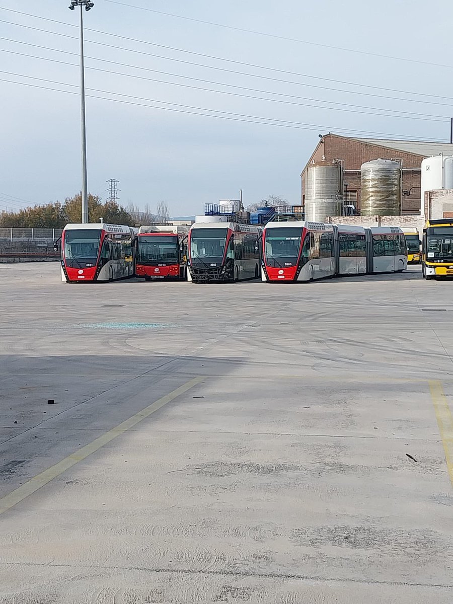 Mario 🌙🍊 tweet media