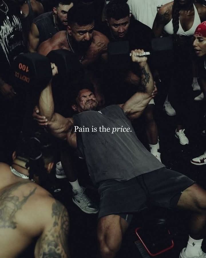 Dear Son. tweet media