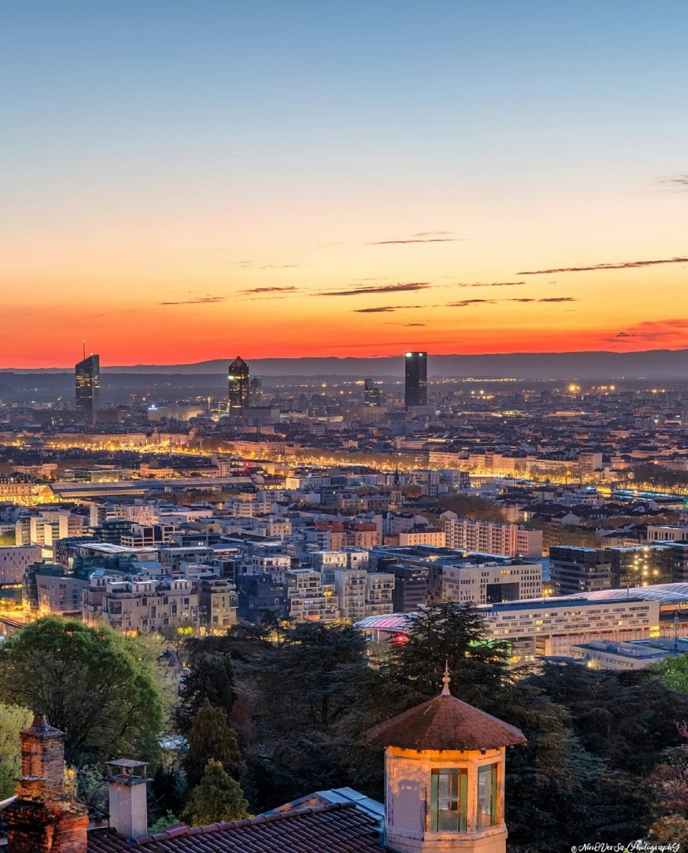 Ninoversalphotography tweet media