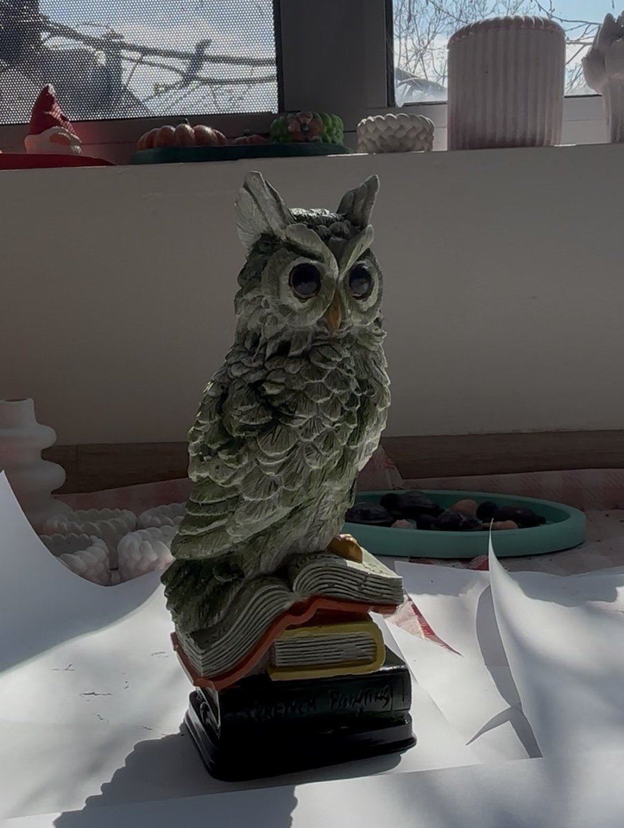 Coinacci | coinacci.base.eth tweet media