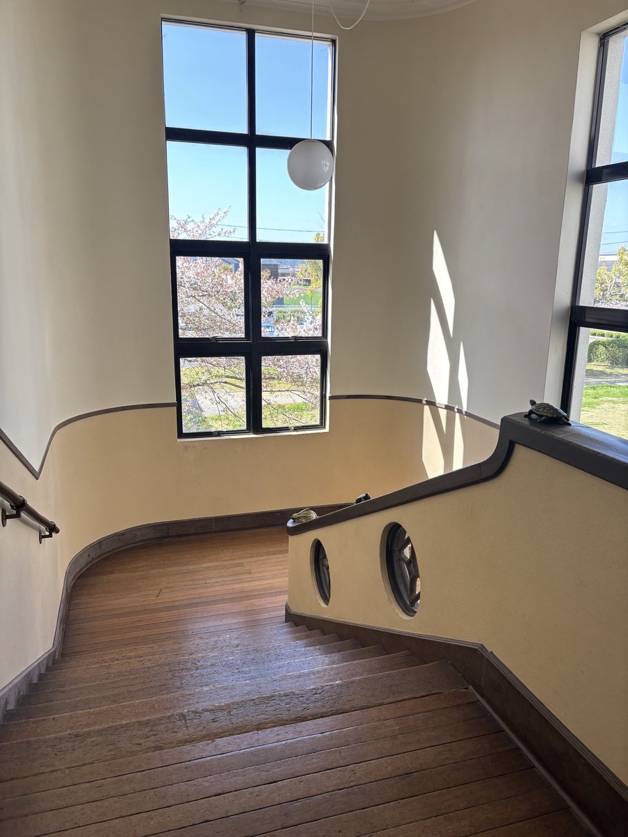 ばるどめん tweet media