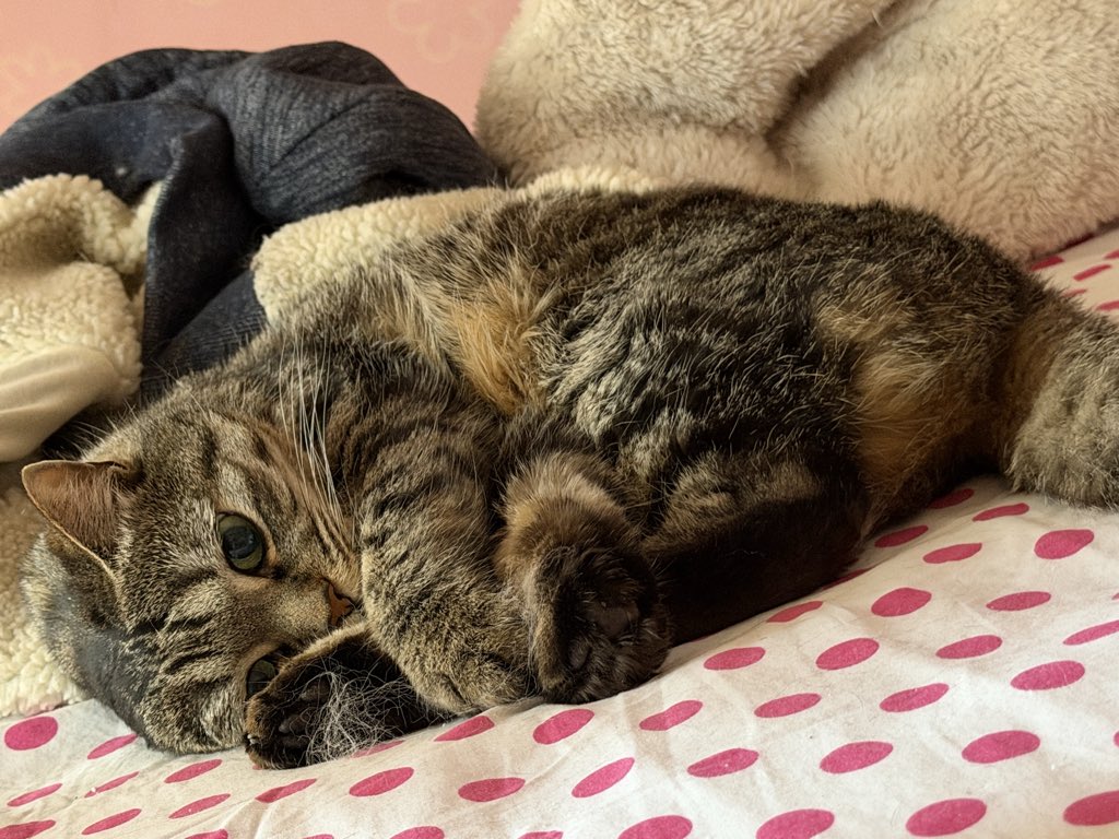 我就是我就是我 tweet media