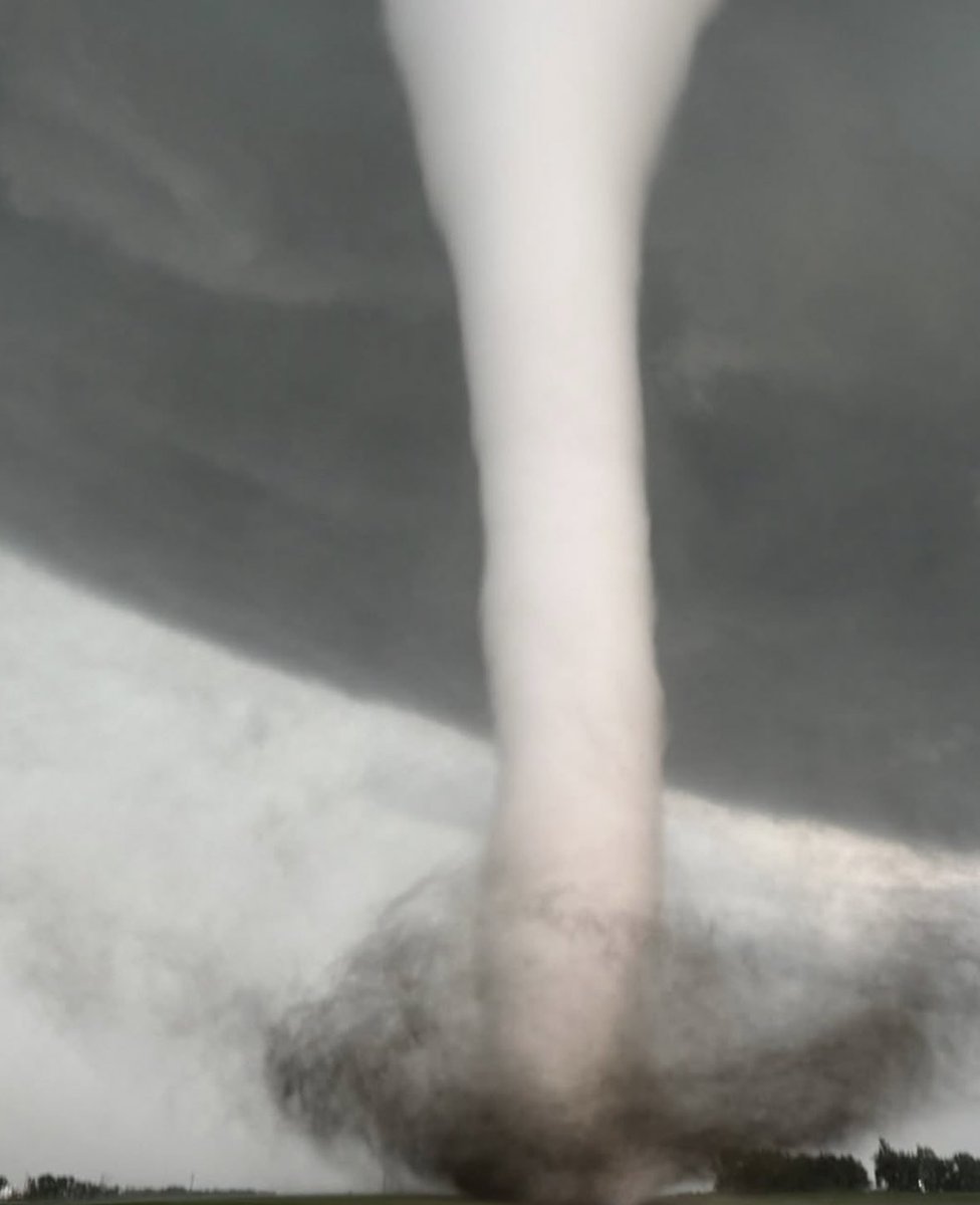 insidefolkative's tweet image. Pria pemburu badai ini melamar sang kekash tepat di depan tornado.