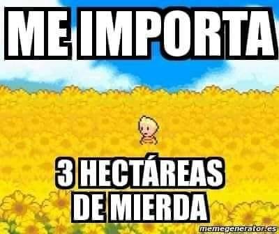 mikel 🔻 tweet media