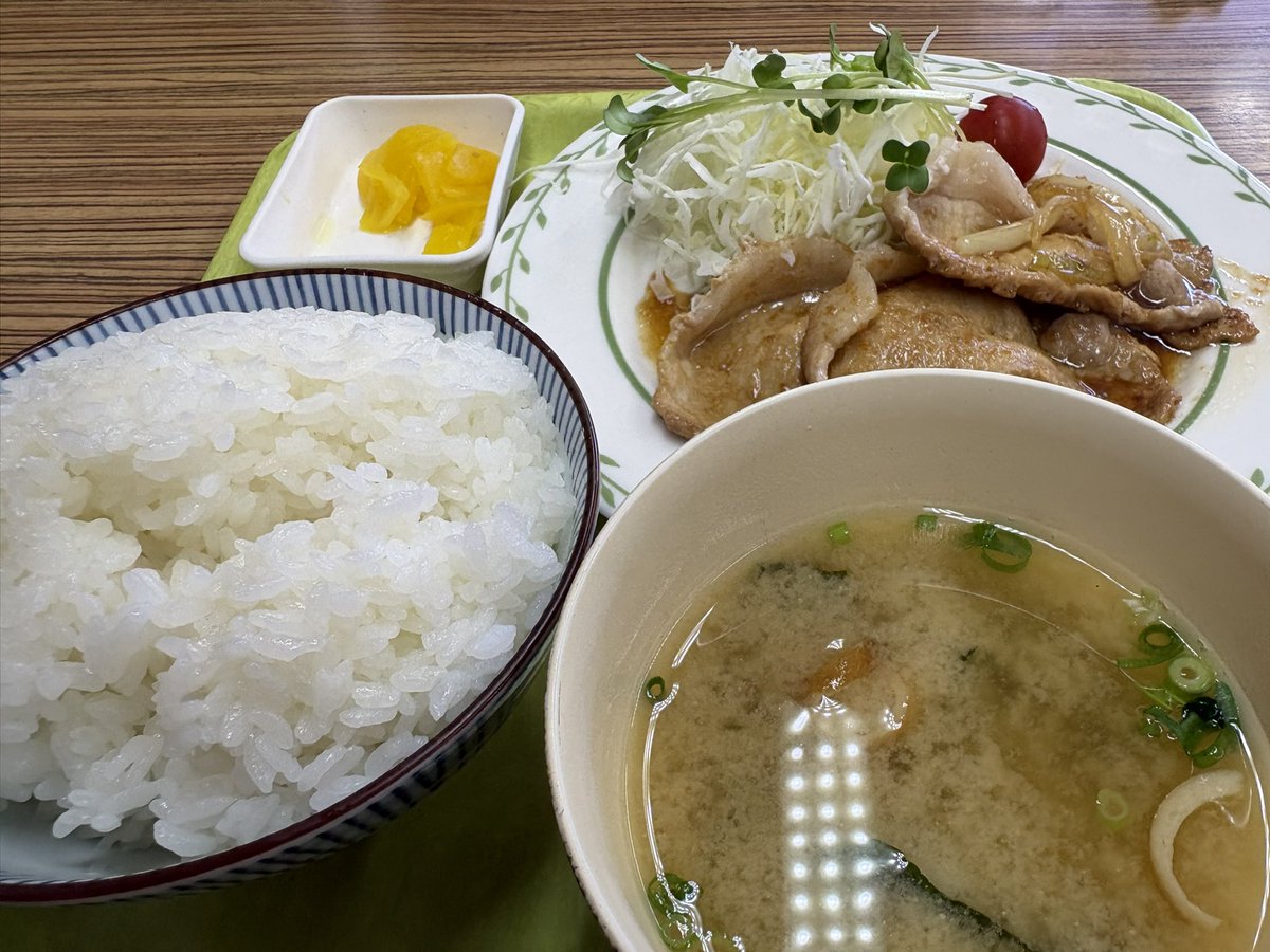 猫ひろし tweet media