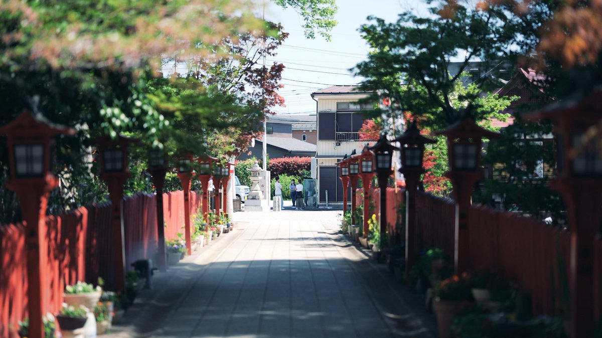 fujifilm_xt's tweet image. LUMIX S9
SIGMA 85mm F1.4 DG DN | Art