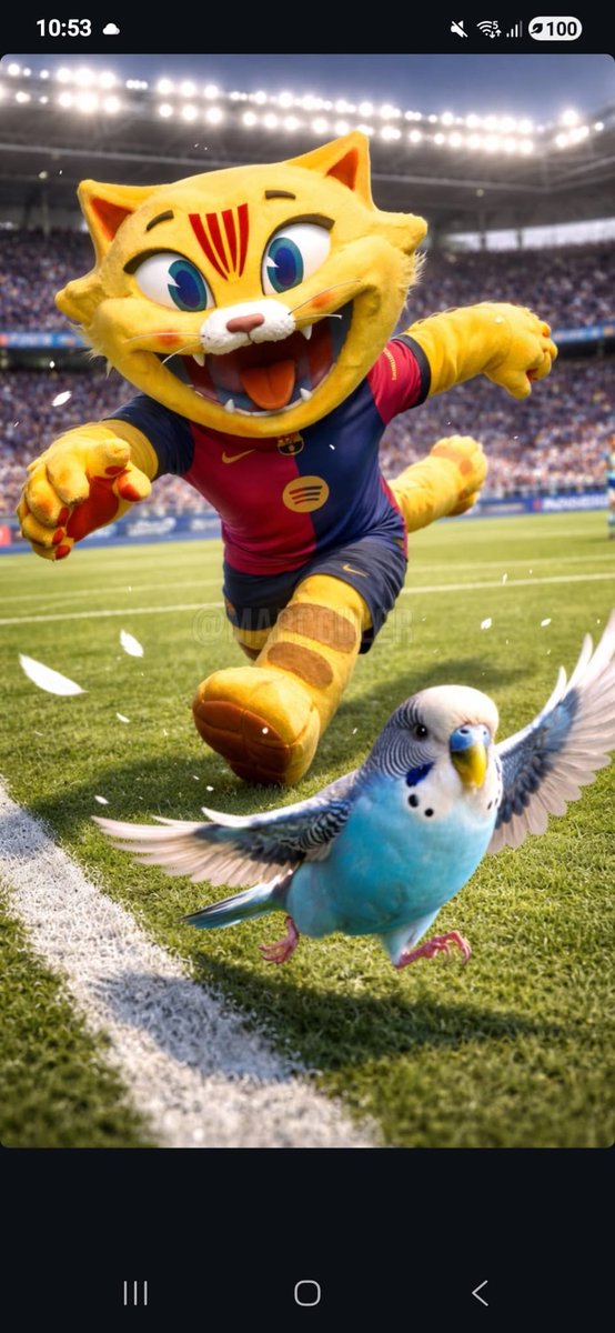 Amb B de Barça tweet media