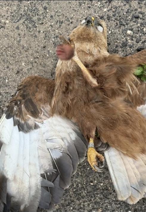 Merkezi Nokta tweet media