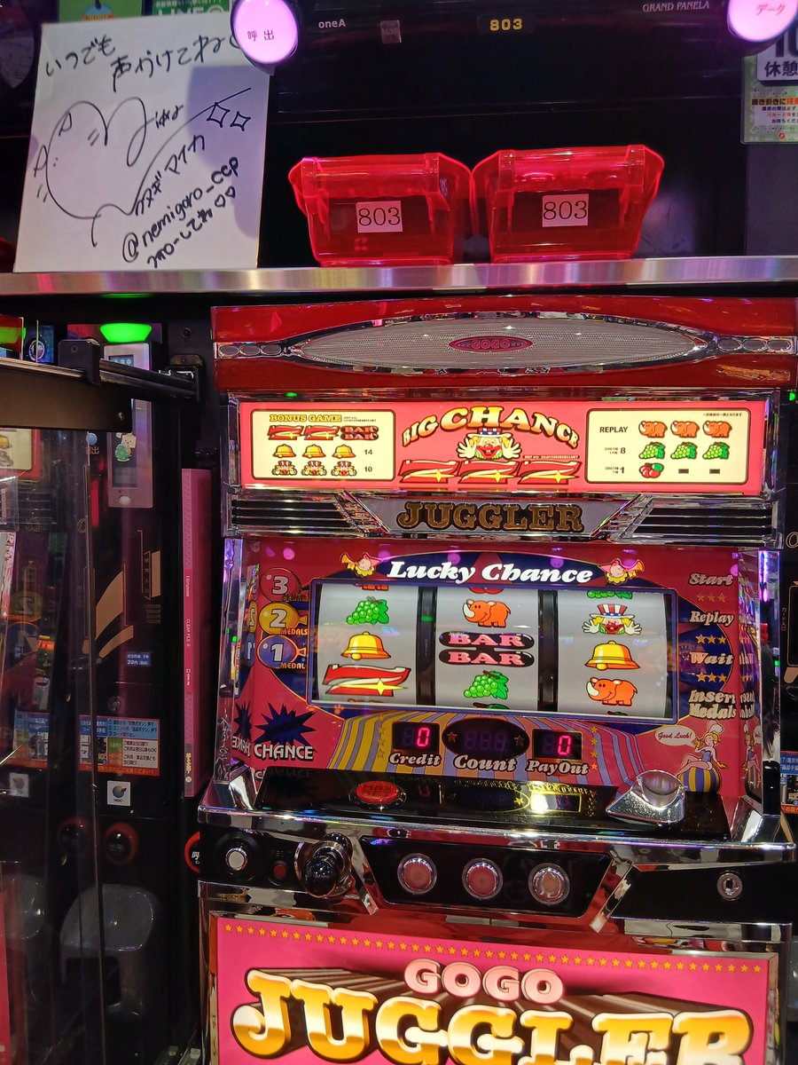 けんりー🐶👕💖👾😈🐱💘🪽🫧🐶 tweet media