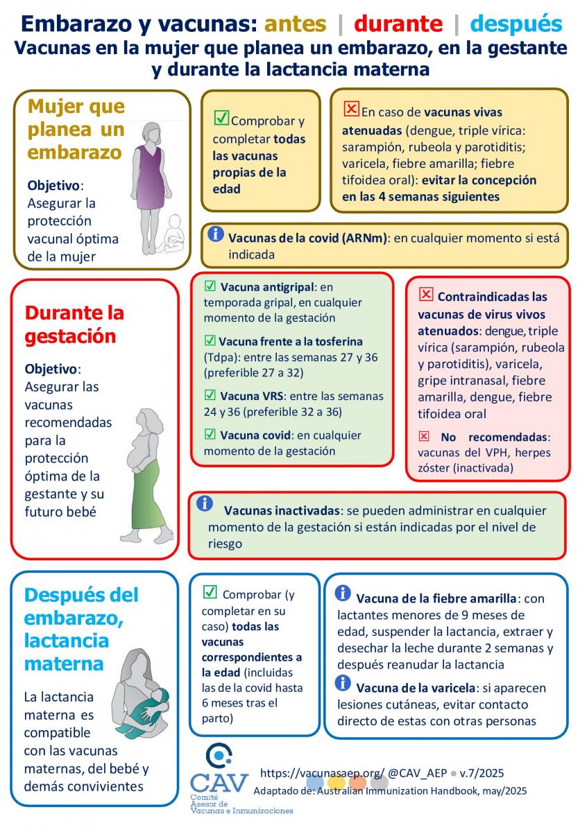 ¿Sabes cuáles son las vacunas recomendadas antes, durante y después del embarazo?
Aquí te lo explicamos 👇:
vacunasaep.org/familias/embar…