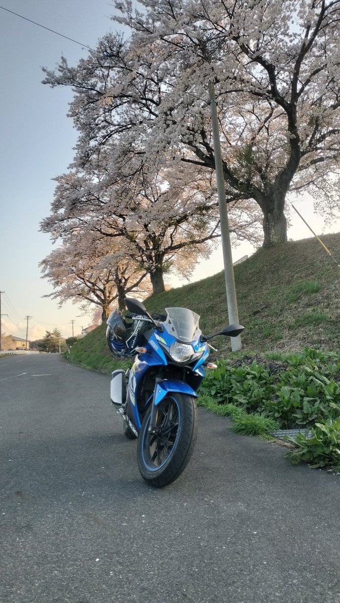 s scoon🍀 tweet media