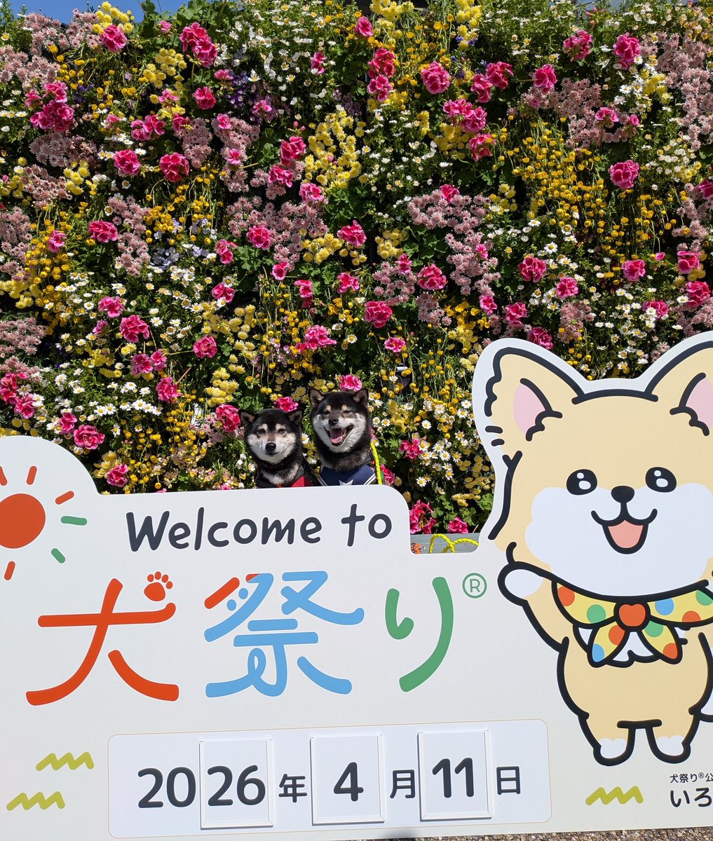 るなれお日和響@ママ tweet media