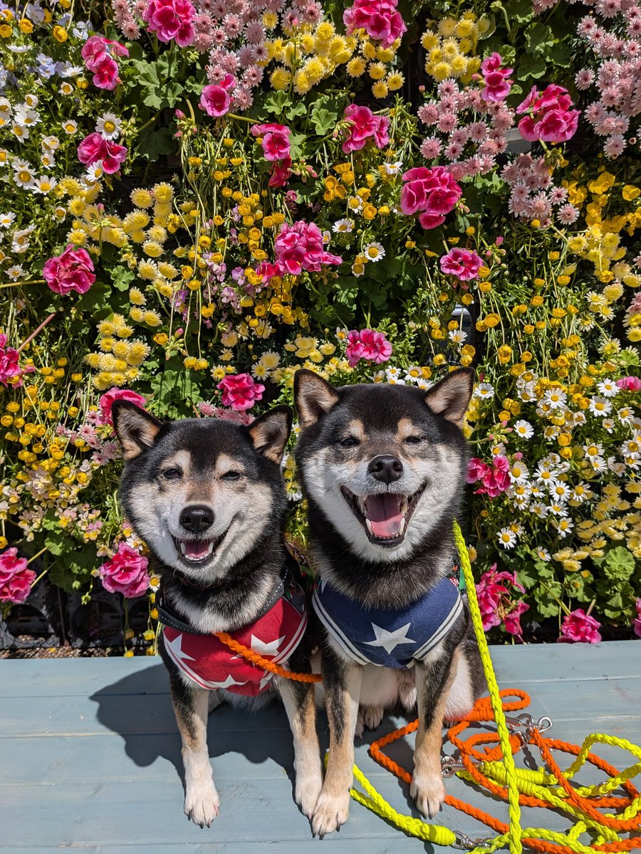るなれお日和響@ママ tweet media